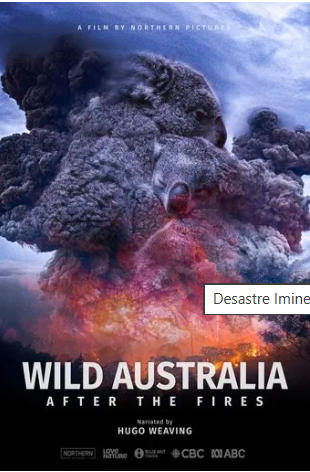 Depois dos Incêndios Florestais